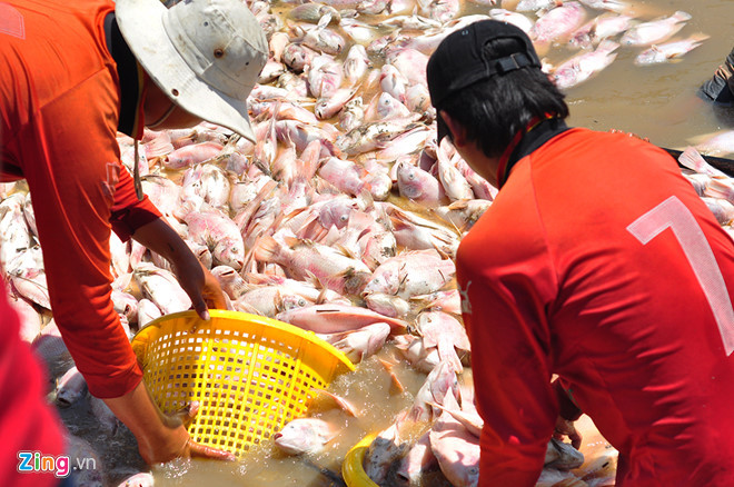Dân La Ngà nhận 12,3 tỷ đồng sau vụ cá chết trắng bè
