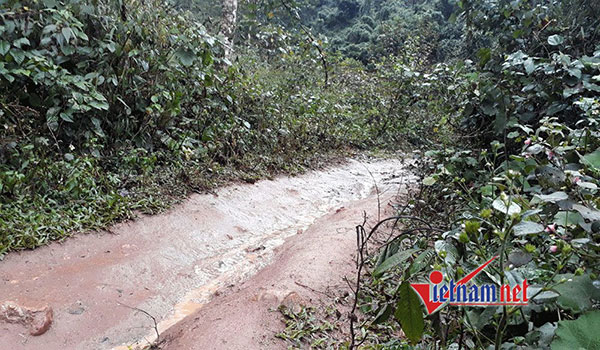 Đời cửu vạn vùng biên: Bí mật ở con đường ‘bán sức’ kiếm tiền triệu mỗi đêm