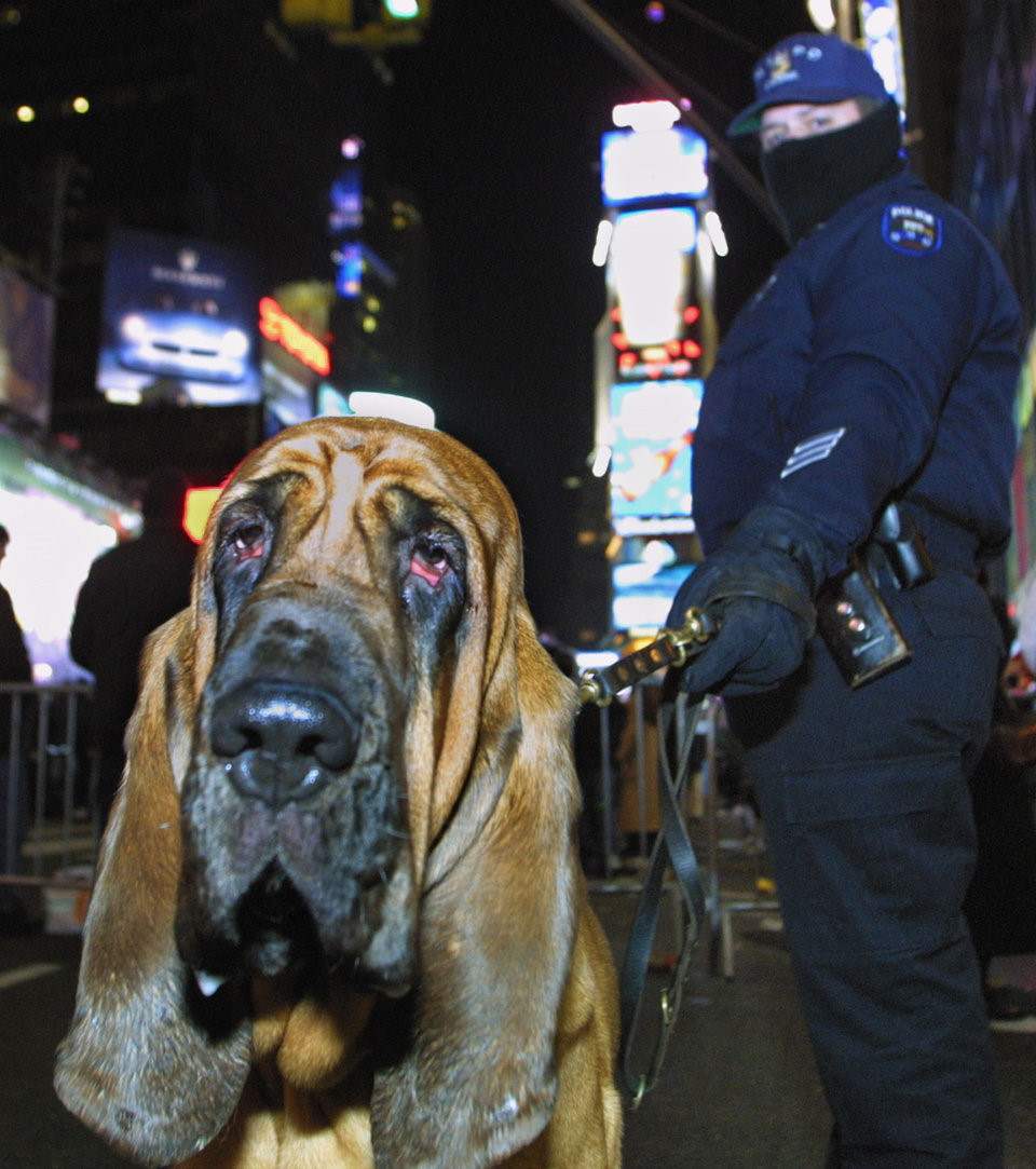 Video ảnh: Người Mỹ đón năm mới ở Quảng trường Thời đại ra sao trong 115 năm qua?