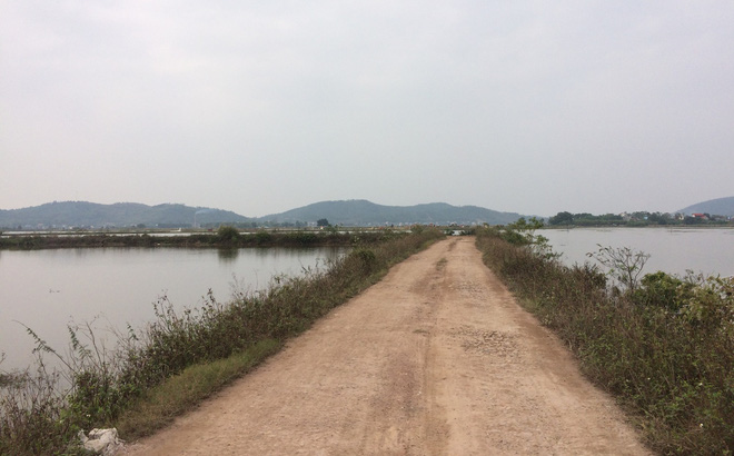 Vụ người phụ nữ đi mua cá nửa đêm bị sát hại ngoài đồng: Người đi cùng nhập viện cấp cứu