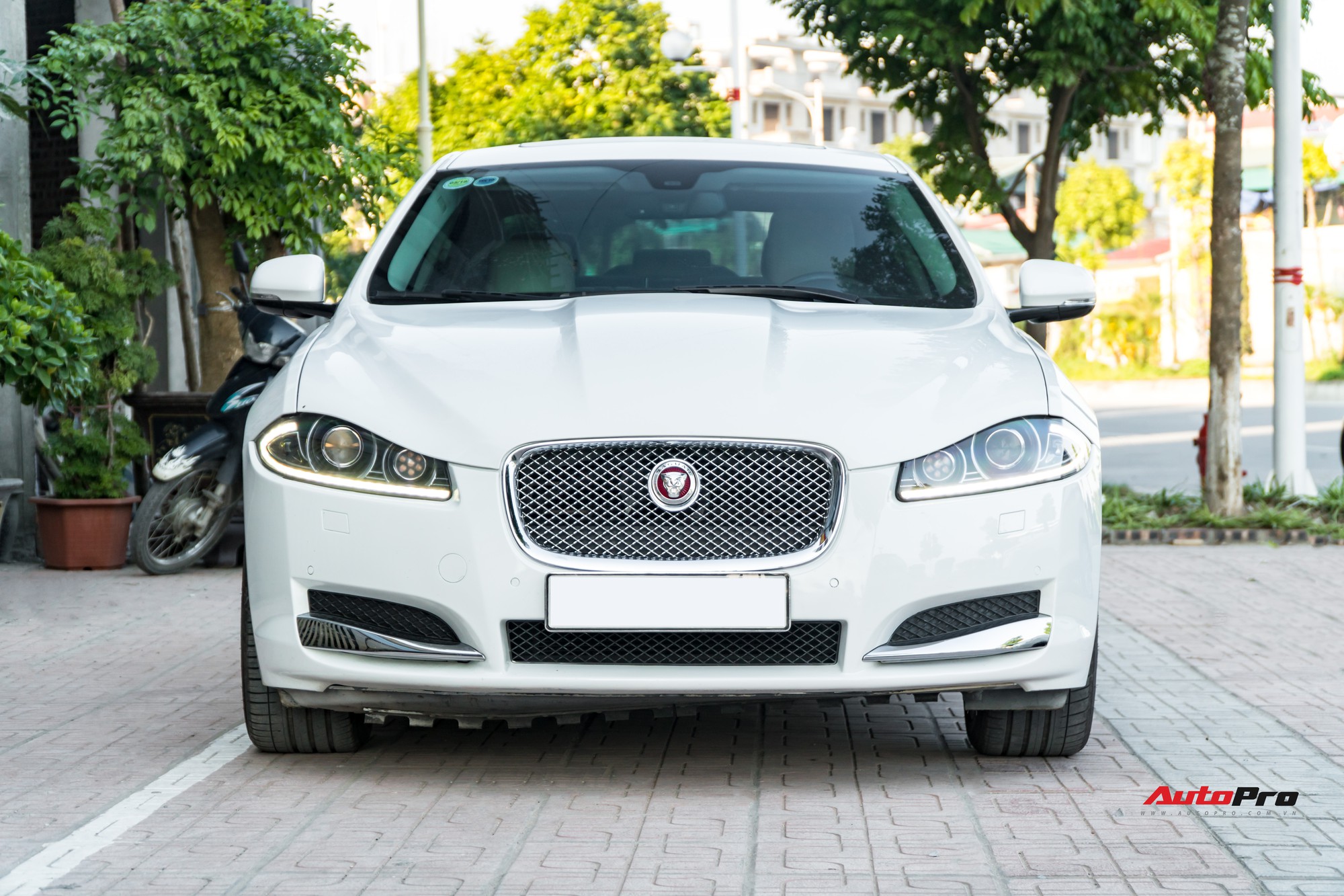 Jaguar XF 2014 giá dưới 1,5 tỷ - Khi xe chơi hạ giá về đúng phân hạng