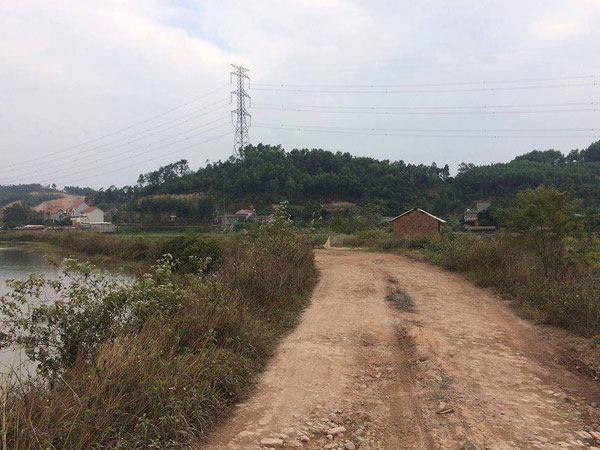 Vụ người phụ nữ bán cá bị sát hại: Người đi cùng hoảng loạn, nhập viện cấp cứu