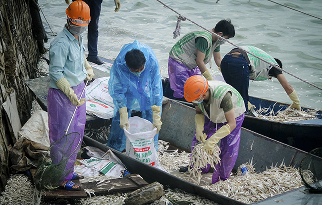 Hà Nội đề xuất dẫn nước sông Hồng cứu hồ Tây