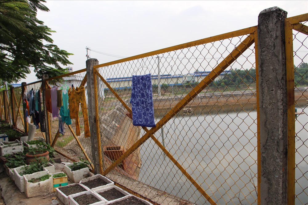 Nước kênh đen sì bốc mùi nồng nặc, nổi bọt trắng như bông tuyết