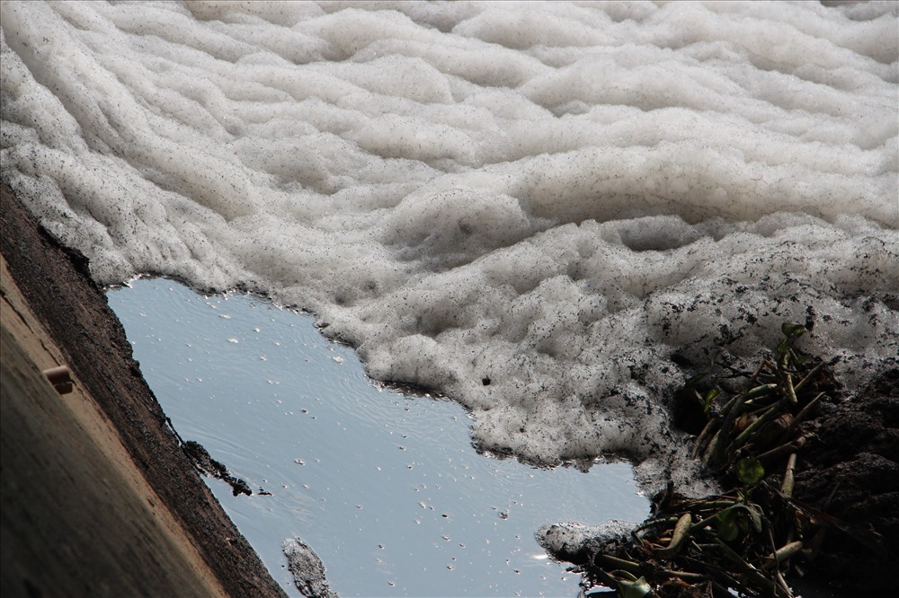 Nước kênh đen sì bốc mùi nồng nặc, nổi bọt trắng như bông tuyết
