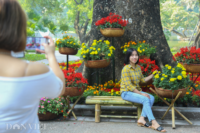 Triển lãm hoa, cây cảnh trăm triệu thu hút người dân Hà Nội