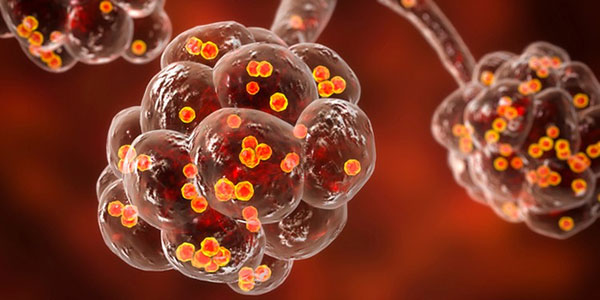 Vật dụng chứa nhiều vi khuẩn nhất của các bác sĩ nhưng khi khám bệnh thường bị bỏ qua