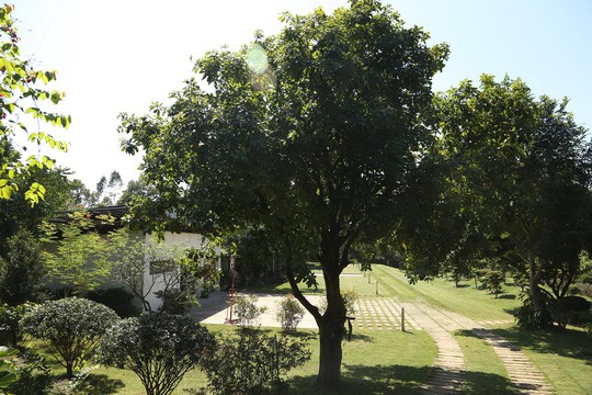 Hà Nội tạm dừng cưỡng chế 18 công trình vi phạm đất rừng Sóc Sơn trong tháng 11