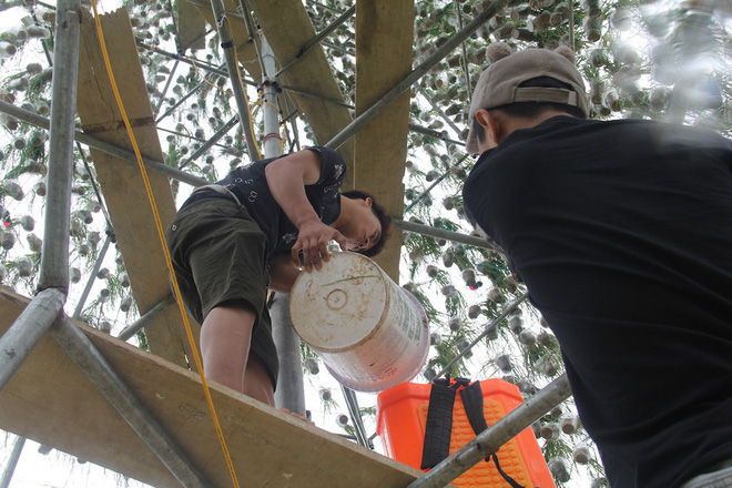 Ngắm cây thông Noel làm từ hàng vạn cây hành và tháp Eiffel bằng tre độc đáo xứ Nghệ