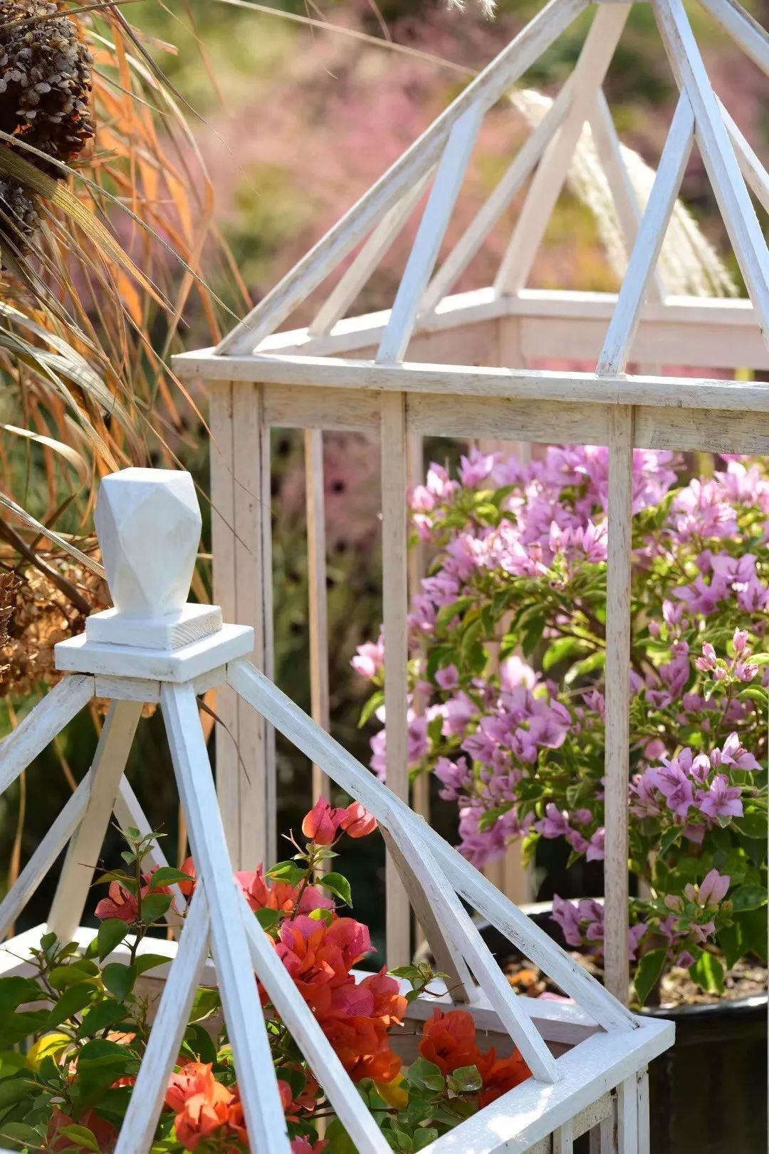 Khu vườn rộng 3000m² đẹp như cổ tích của vợ chồng 40 tuổi quyết định nghỉ hưu sớm về quê tận hưởng cuộc sống