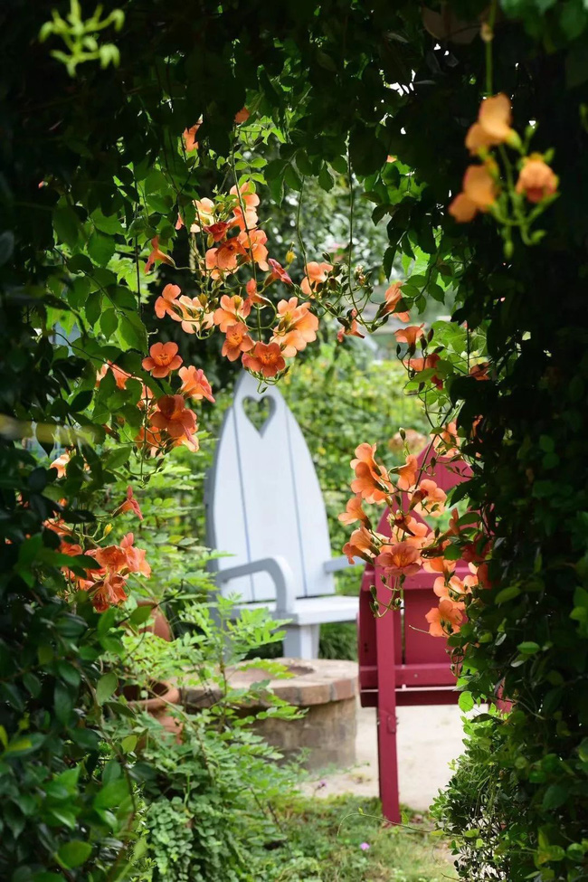 Khu vườn rộng 3000m² đẹp như cổ tích của vợ chồng 40 tuổi quyết định nghỉ hưu sớm về quê tận hưởng cuộc sống