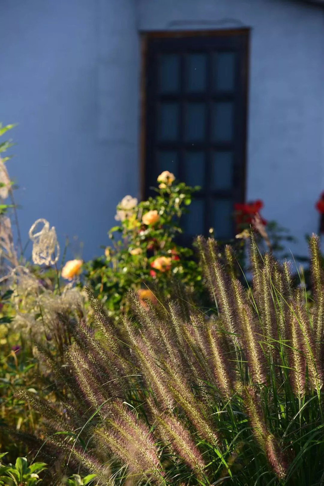 Khu vườn rộng 3000m² đẹp như cổ tích của vợ chồng 40 tuổi quyết định nghỉ hưu sớm về quê tận hưởng cuộc sống