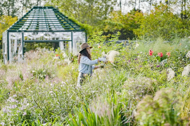 Khu vườn rộng 3000m² đẹp như cổ tích của vợ chồng 40 tuổi quyết định nghỉ hưu sớm về quê tận hưởng cuộc sống