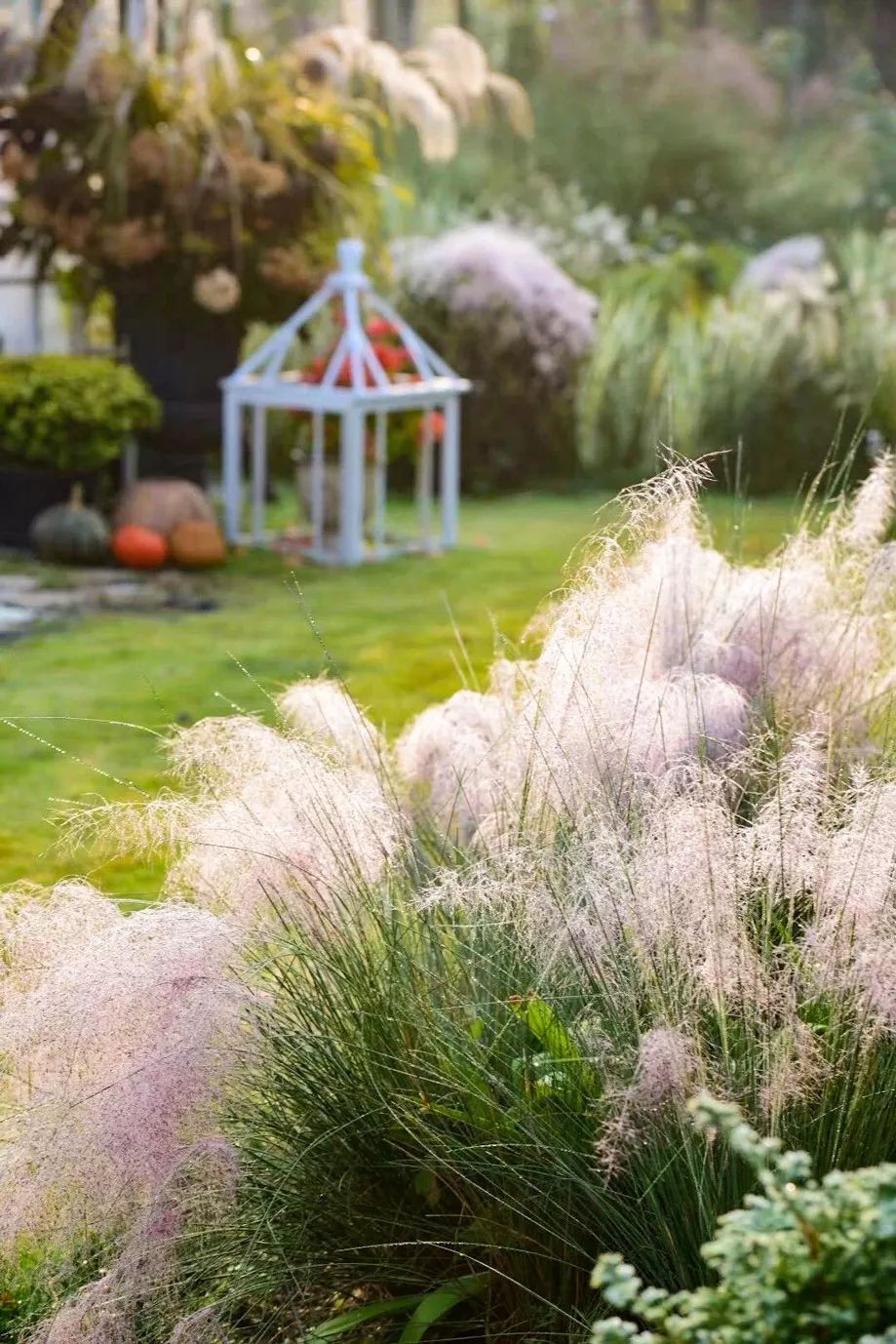 Khu vườn rộng 3000m² đẹp như cổ tích của vợ chồng 40 tuổi quyết định nghỉ hưu sớm về quê tận hưởng cuộc sống