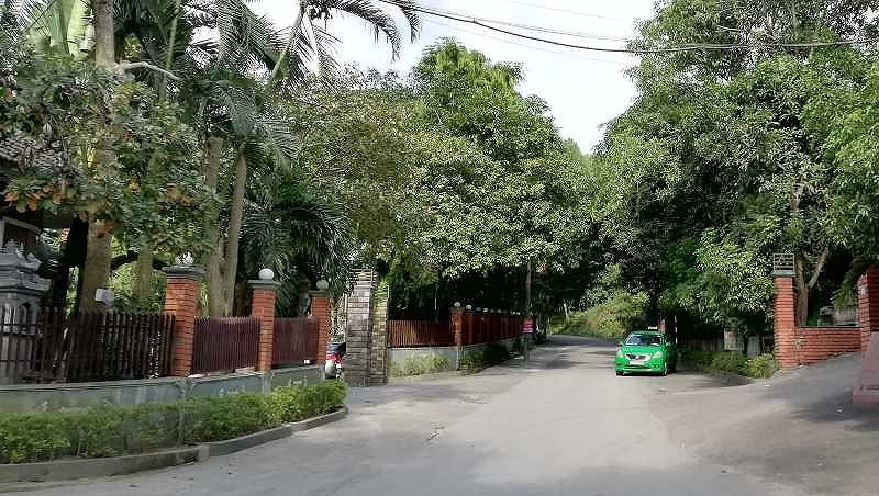 Nhóm sinh viên đi chụp ảnh gặp người chết trên cây