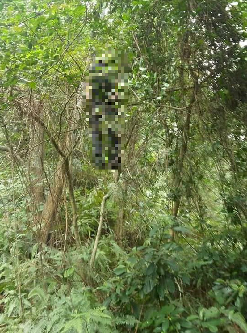 Nhóm sinh viên đi chụp ảnh gặp người chết trên cây