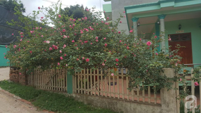 Ngôi nhà yên bình rợp bóng hồng cổ Sapa trên phố núi Tây Bắc của mẹ hai con