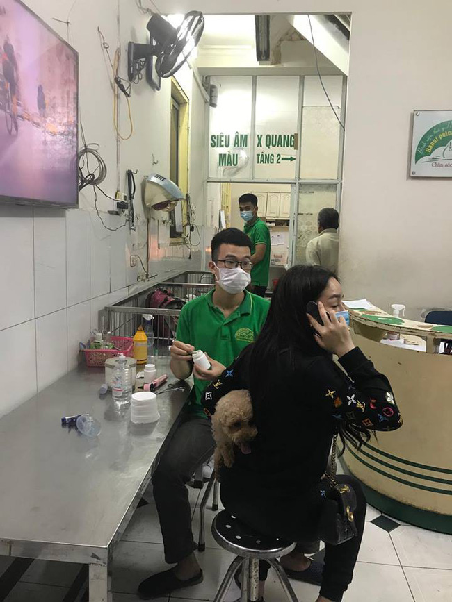 Hà Nội: Đưa chó cưng đi khám, cô gái bị tàu hất văng sang một bên, may mắn thoát chết