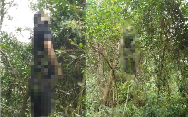 Phát hiện nam thanh niên treo cổ trên núi, bên cạnh có lá thư tuyệt mệnh Phát hiện nam thanh niên treo cổ trên núi, bên cạnh có lá thư tuyệt mệnh