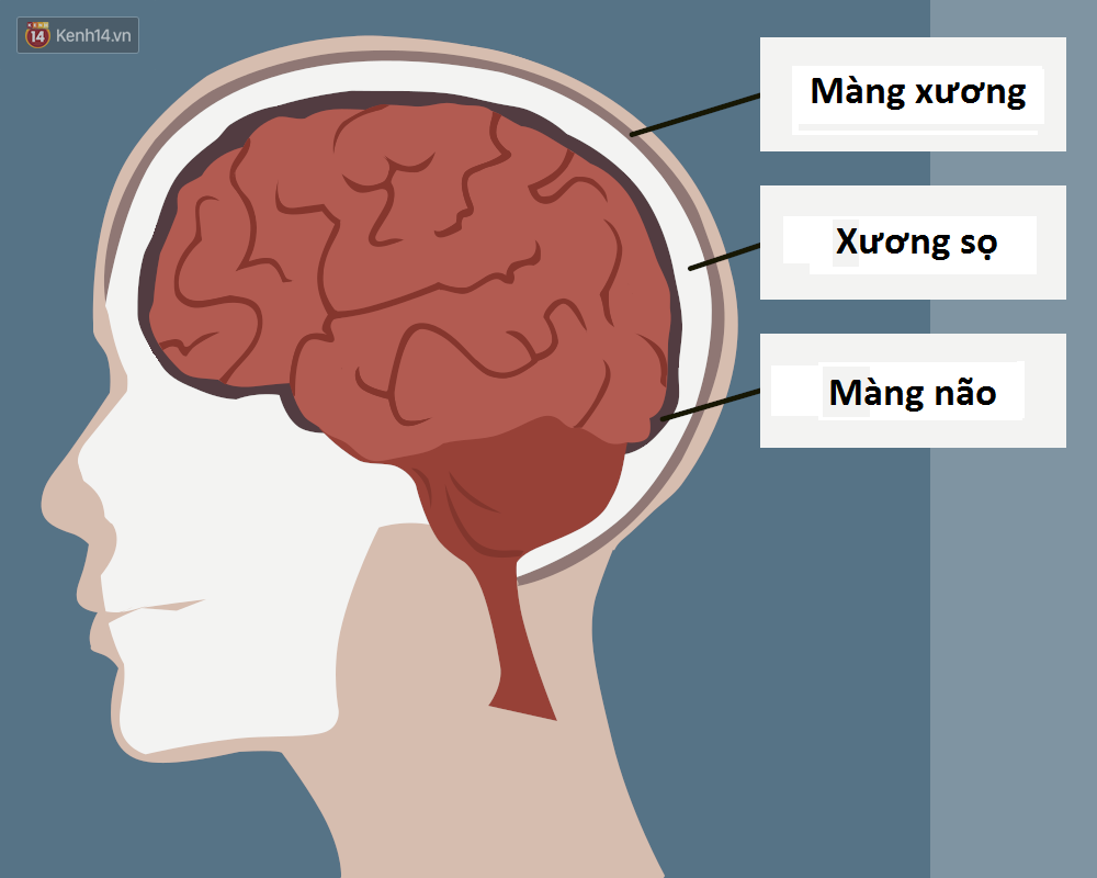 Mổ phanh não khi bệnh nhân vẫn đang tỉnh? Phương pháp nghe thì ghê rợn này ngày càng phổ biến và đây là lý do