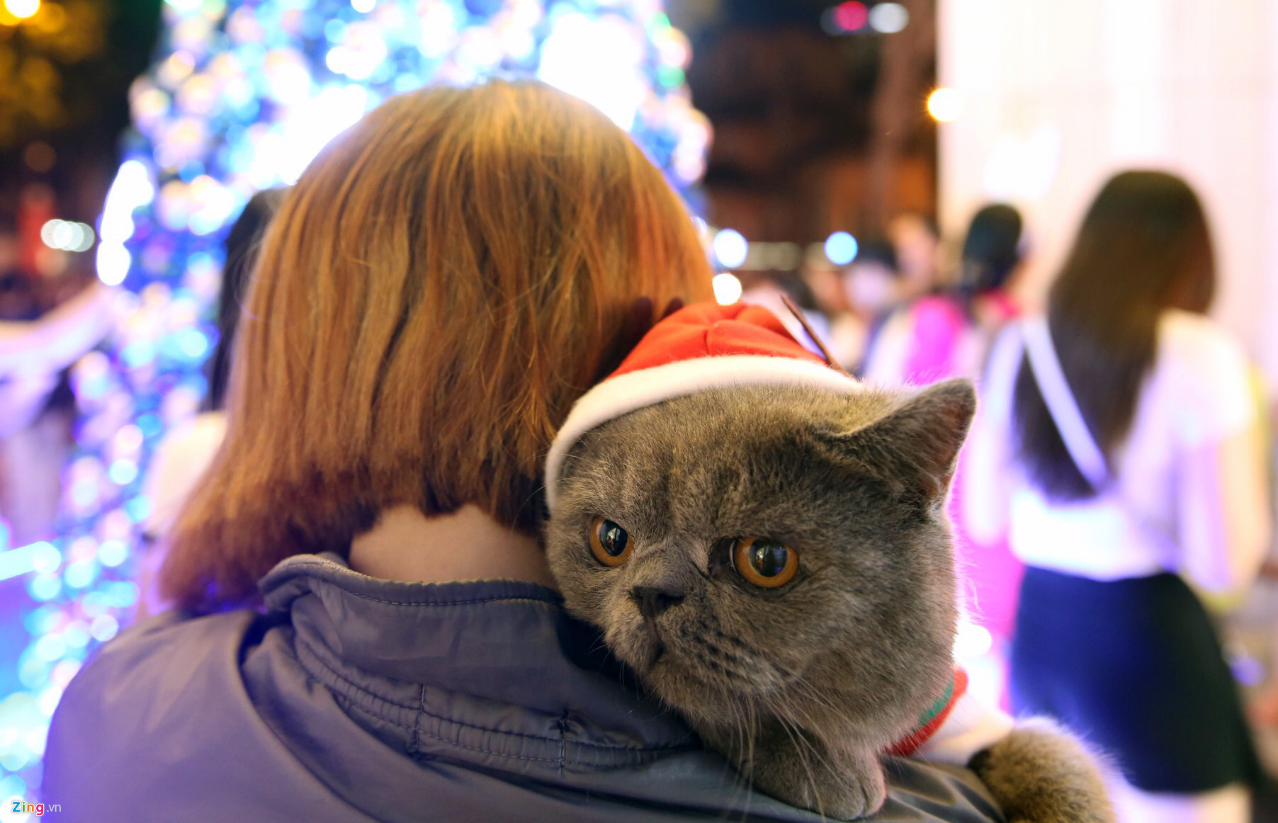 Video ảnh: Người dân Sài Gòn, Hà Nội đổ ra đường đón Giáng sinh