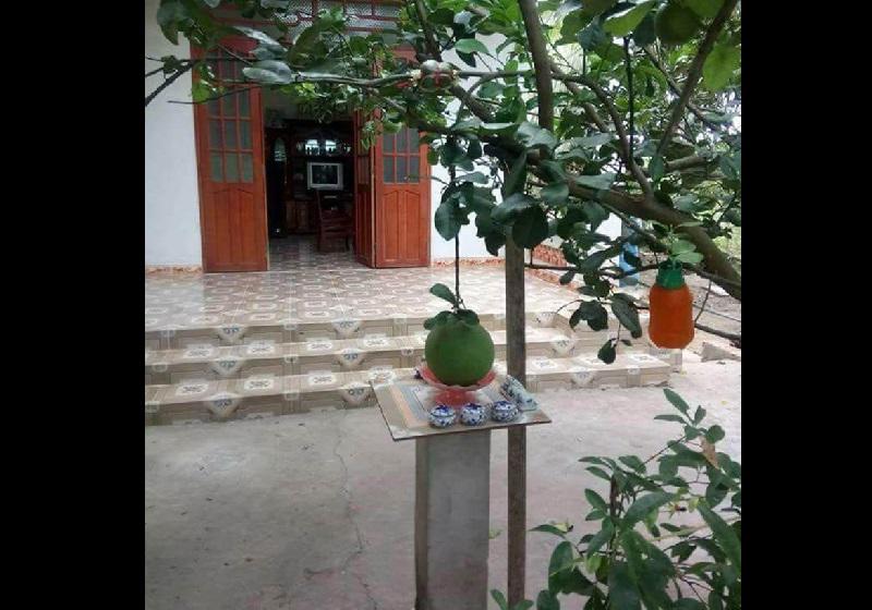 Dở khóc dở cười với kiểu mọc khôn nhà dại chợ của hoa quả trong vườn