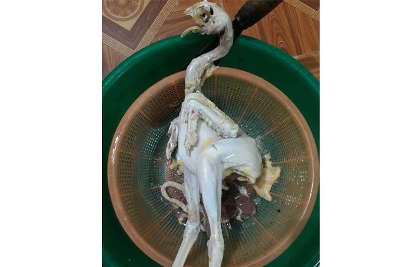 Tổng hợp những món ăn gia đình kinh dị năm 2018 của hội chị em