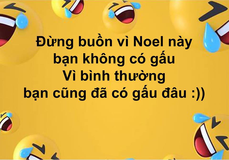 Phũ nhưng thật: Đừng buồn vì Noel không có gấu bởi bình thường bạn cũng có gấu đâu!