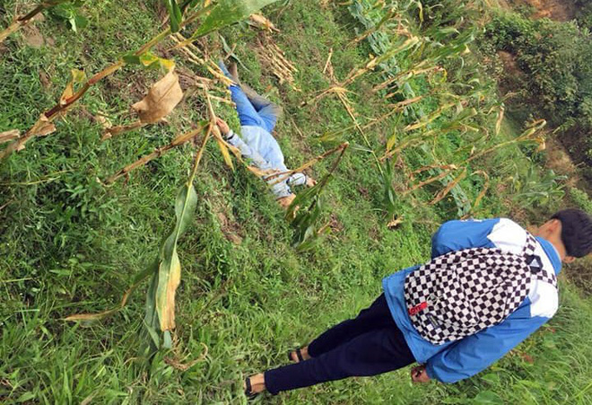 Hà Nội: Hai thanh niên nghi trộm chó bị người dân vây đánh gục giữa ruộng