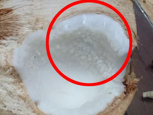 Bức ảnh tưởng bình thường bỗng trở thành ngòi nổ chiến tranh trong hội các bà nội trợ: Quả dừa này bị làm sao?