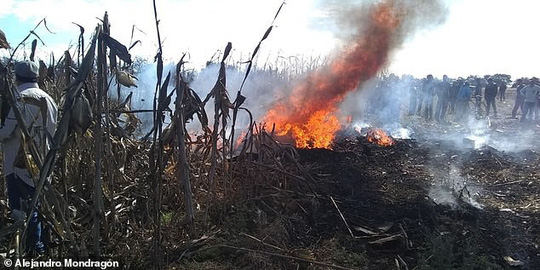 Rơi máy bay, nữ thống đốc của gia đình quyền lực bậc nhất Mexico thiệt mạng