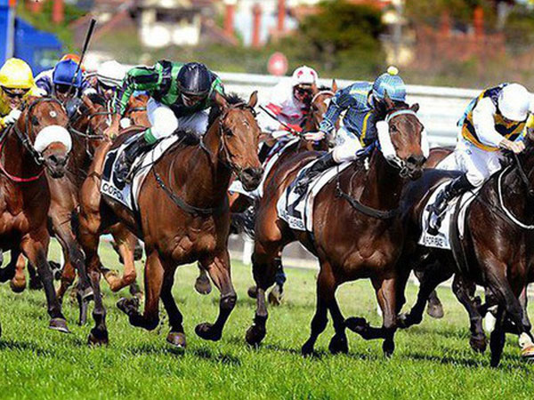 Thủ tướng đồng ý cho Hà Nội làm trường đua ngựa