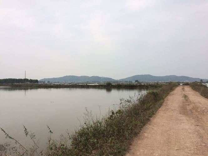 Những vụ án mạng chấn động chỉ vì tin lời thầy bói