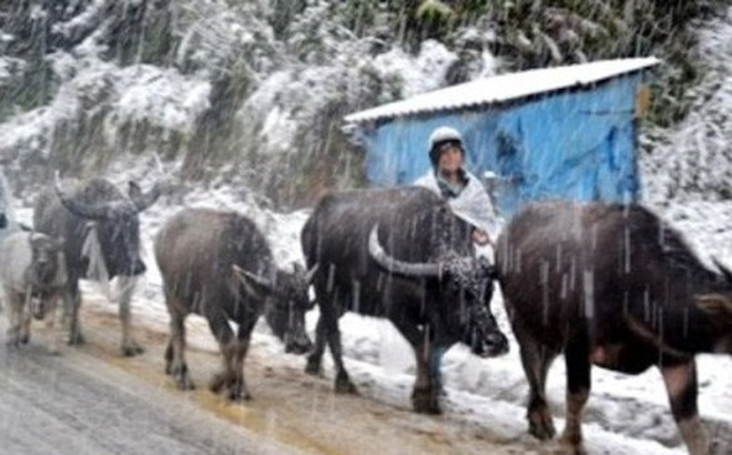 Miền Bắc rét đậm dịp Tết dương lịch, khả năng băng giá và mưa tuyết Miền Bắc rét đậm dịp Tết dương lịch, khả năng băng giá và mưa tuyết