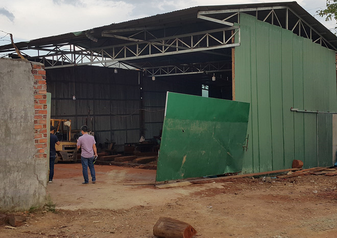 Khởi tố giám đốc đưa hối lộ liên quan đến vụ bắt Phượng râu