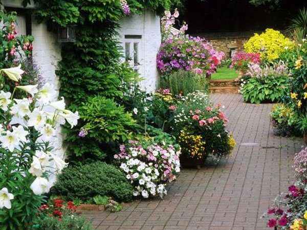 Về nhà giữ trưa, vợ trẻ khóc ngất trước cảnh trớ trêu trong phòng ngủ