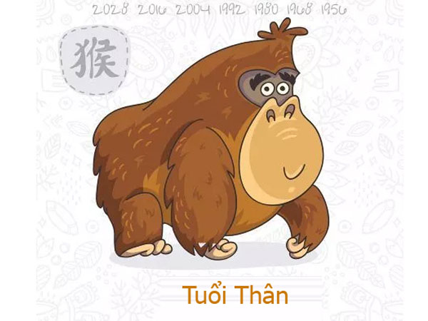 Tuổi Thân năm Kỷ Hợi
