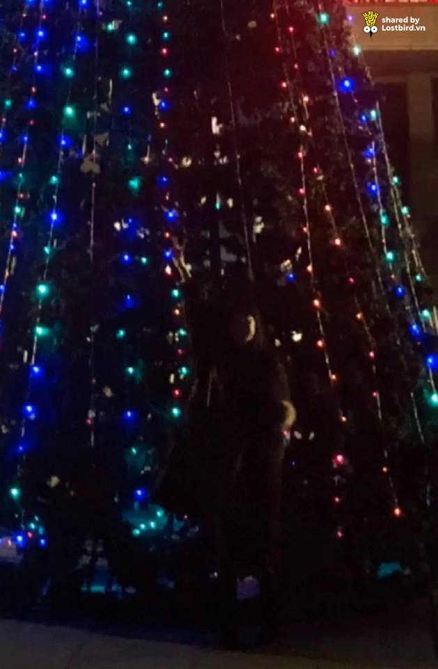 Câu chuyện muôn thuở khi người chụp ảnh không có tâm: Háo hức tạo dáng bên cây thông, lúc xem ảnh không khác gì tàng hình