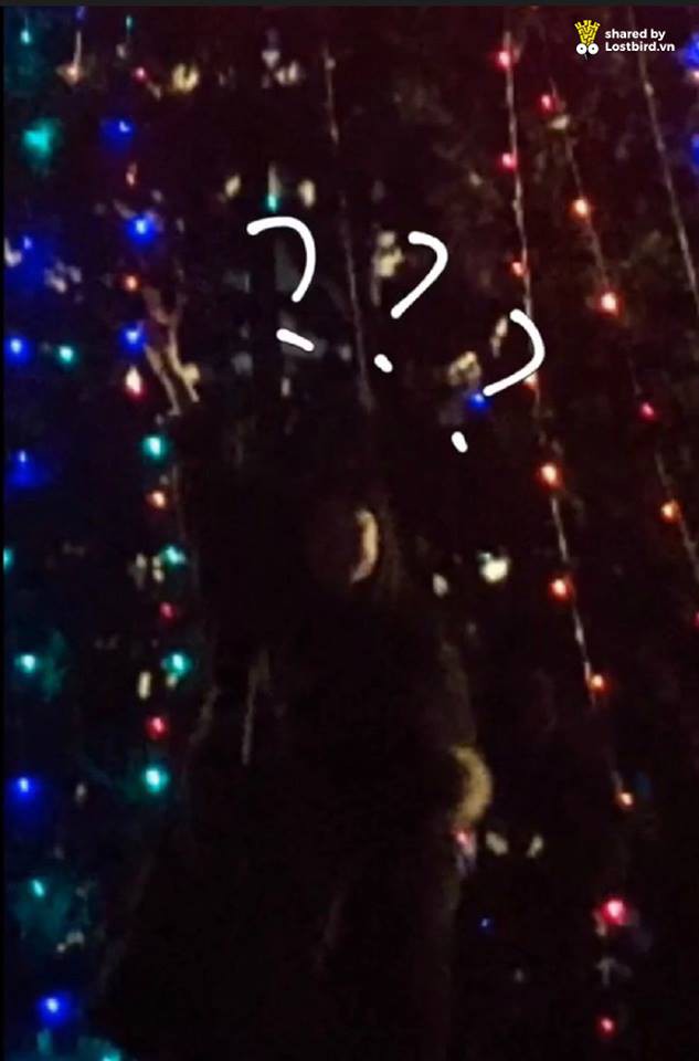 Câu chuyện muôn thuở khi người chụp ảnh không có tâm: Háo hức tạo dáng bên cây thông, lúc xem ảnh không khác gì tàng hình