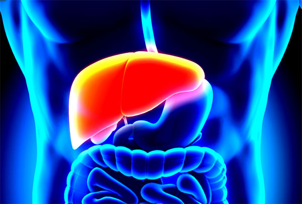 5 nhóm người không nên ăn cá để tránh gây hại lớn cho sức khỏe: Hãy xem có bạn không?