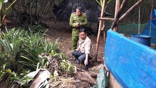 Hầm bom đạn bị vùi lấp trong vườn nhà dân