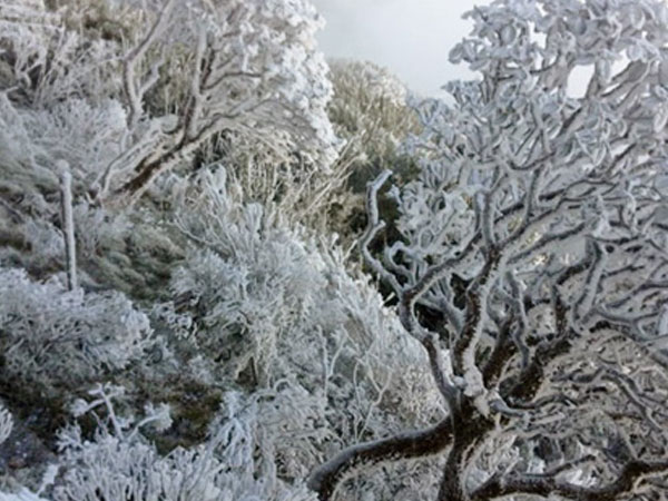 Miền Bắc đón Tết Dương lịch trong mưa rét dưới 10 độ