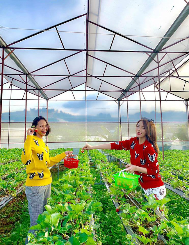 Trạng thái đầy ẩn ý của Hoa hậu Kỳ Duyên giữa nghi vấn hẹn hò với nữ siêu mẫu Trạng thái đầy ẩn ý của Hoa hậu Kỳ Duyên giữa nghi vấn hẹn hò với nữ siêu mẫu