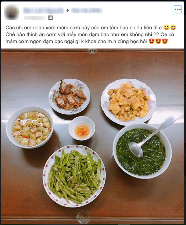 Mang mâm cơm nhà vừa rẻ vừa ngon đi khoe khắp các diễn đàn, mẹ trẻ bị cư dân mạng ném đá vì lý do này
