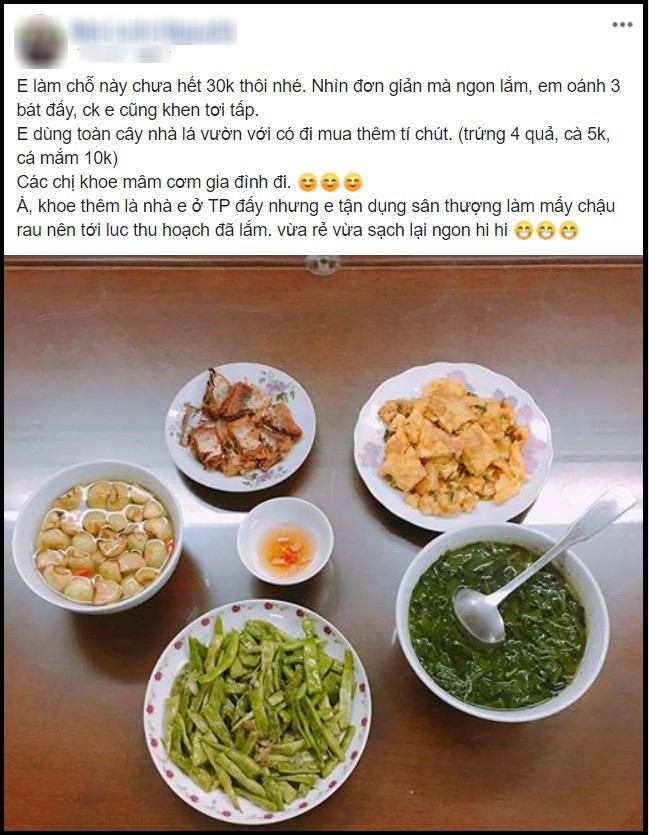 Mang mâm cơm nhà vừa rẻ vừa ngon đi khoe khắp các diễn đàn, mẹ trẻ bị cư dân mạng ném đá vì lý do này