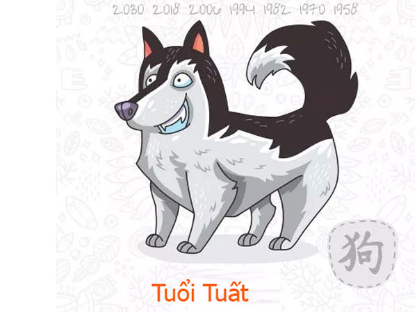 Tuổi Tuất năm Kỷ Hợi