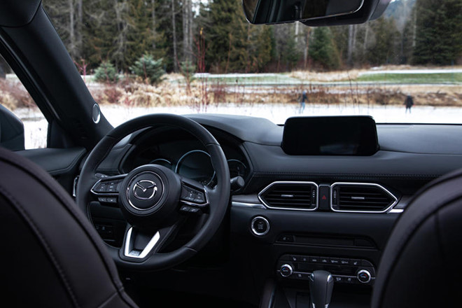 Nhà máy ôtô 1,6 tỷ USD có thể đóng cửa vì một loài cá