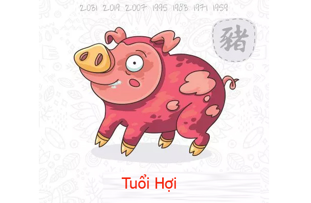 Tuổi Hợi năm Kỷ Hợi