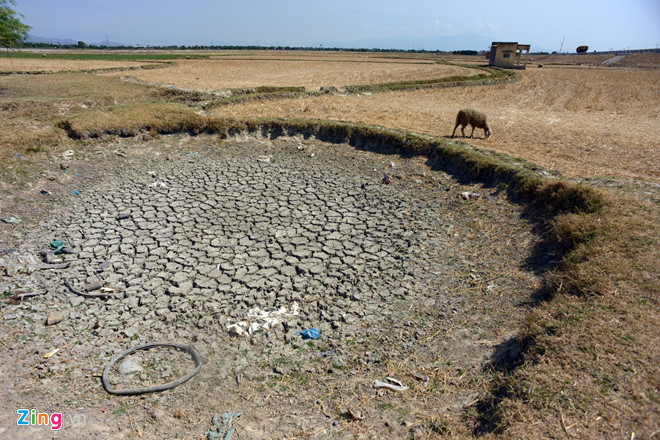 Năm 2019 sẽ xuất hiện nhiều hiện tượng thời tiết cực đoan