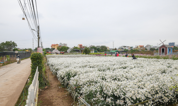 Vườn Nhật Tân, phố đi bộ Hà Nội vắng khách trong ngày đầu nghỉ lễ